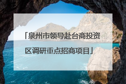 泉州市领导赴台商投资区调研重点招商项目