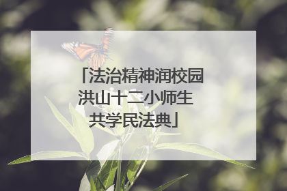 法治精神润校园 洪山十二小师生共学民法典