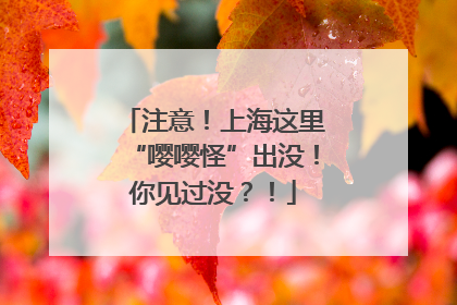 注意！上海这里“嘤嘤怪”出没！你见过没？！