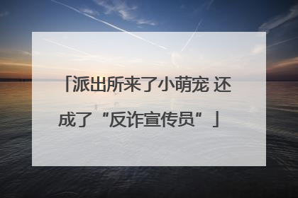 派出所来了小萌宠 还成了“反诈宣传员”