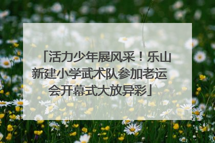 活力少年展风采！乐山新建小学武术队参加老运会开幕式大放异彩