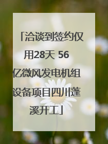 洽谈到签约仅用28天 56亿微风发电机组设备项目四川蓬溪开工