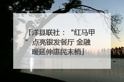 洋县联社：“红马甲”点亮银发餐厅 金融暖延伸惠民末梢