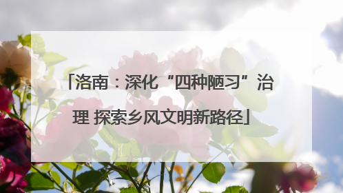 洛南：深化“四种陋习”治理 探索乡风文明新路径