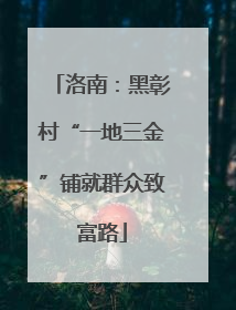 洛南：黑彰村“一地三金”铺就群众致富路