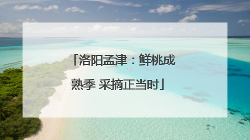 洛阳孟津：鲜桃成熟季 采摘正当时