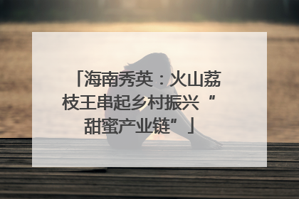 海南秀英：火山荔枝王串起乡村振兴“甜蜜产业链”