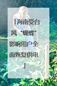 海南受台风“蝴蝶”影响用户全面恢复供电