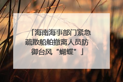 海南海事部门紧急疏散船舶撤离人员防御台风“蝴蝶”