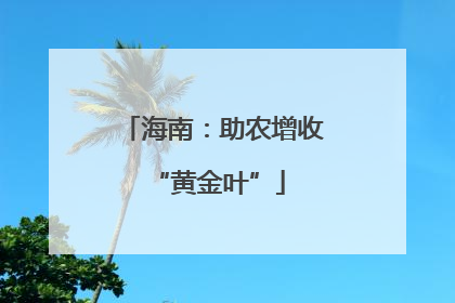 海南：助农增收 “黄金叶”