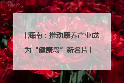 海南：推动康养产业成为“健康岛”新名片
