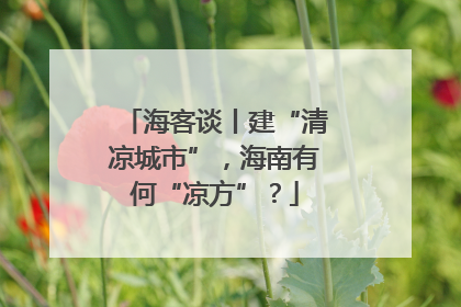 海客谈丨建“清凉城市”，海南有何“凉方”？