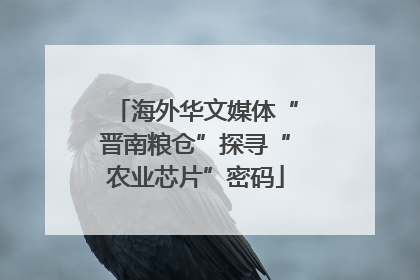 海外华文媒体“晋南粮仓”探寻“农业芯片”密码
