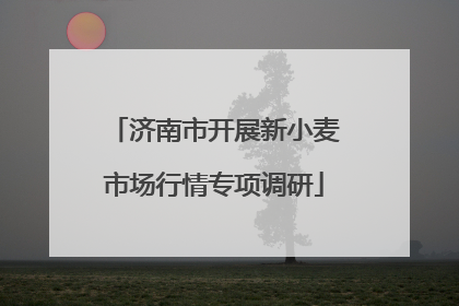 济南市开展新小麦市场行情专项调研