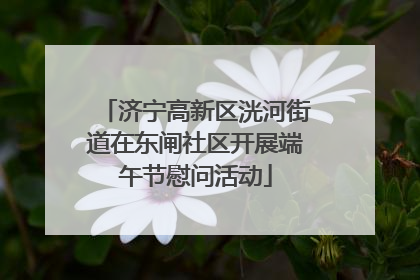 济宁高新区洸河街道在东闸社区开展端午节慰问活动