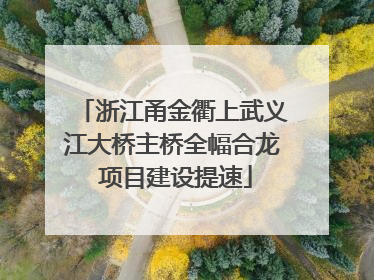浙江甬金衢上武义江大桥主桥全幅合龙 项目建设提速