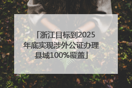 浙江目标到2025年底实现涉外公证办理县域100%覆盖