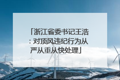 浙江省委书记王浩：对顶风违纪行为从严从重从快处理