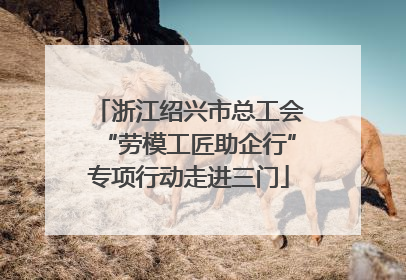 浙江绍兴市总工会“劳模工匠助企行”专项行动走进三门