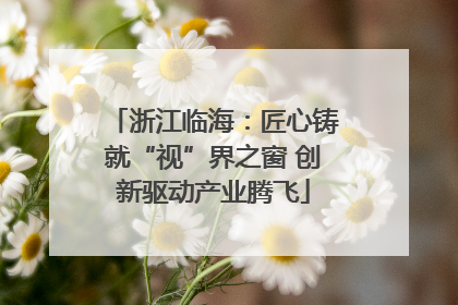 浙江临海：匠心铸就“视”界之窗 创新驱动产业腾飞
