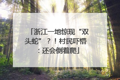 浙江一地惊现“双头蛇”？！村民吓懵：还会倒着爬