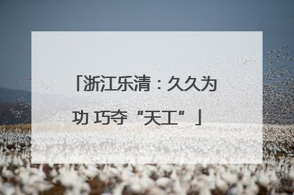 浙江乐清：久久为功 巧夺“天工”