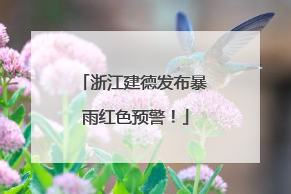 浙江建德发布暴雨红色预警！