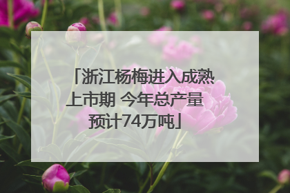 浙江杨梅进入成熟上市期 今年总产量预计74万吨