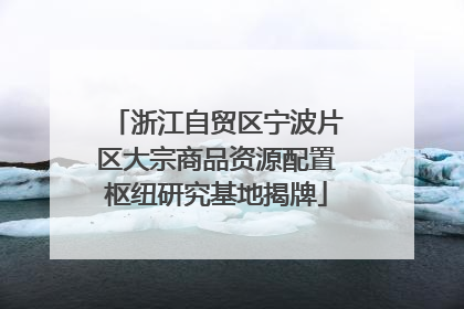 浙江自贸区宁波片区大宗商品资源配置枢纽研究基地揭牌