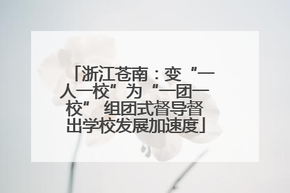 浙江苍南：变“一人一校”为“一团一校” 组团式督导督出学校发展加速度