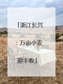 浙江长兴：万亩小麦迎丰收