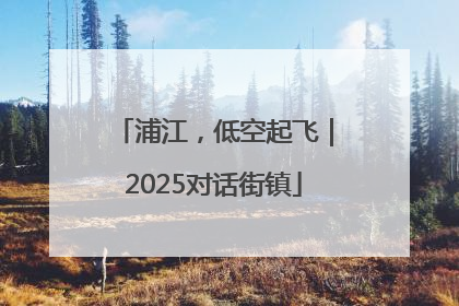 浦江，低空起飞｜2025对话街镇