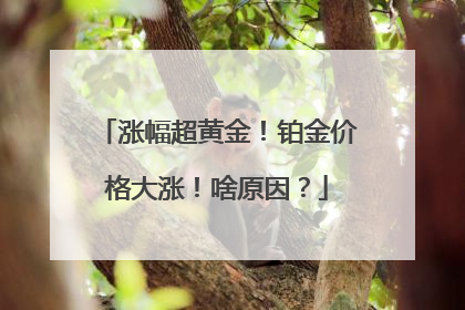 涨幅超黄金！铂金价格大涨！啥原因？