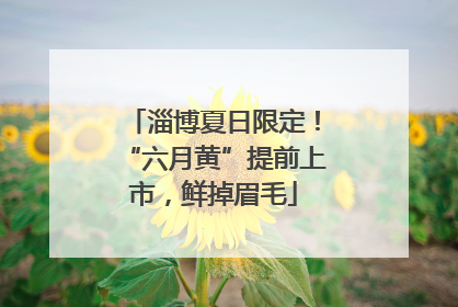 淄博夏日限定！“六月黄”提前上市，鲜掉眉毛