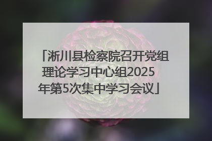 淅川县检察院召开党组理论学习中心组2025年第5次集中学习会议