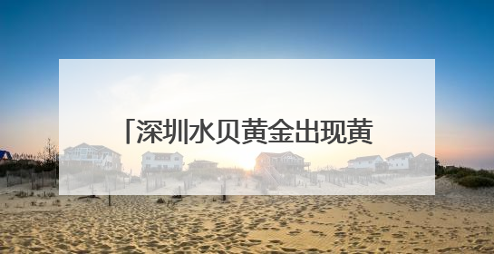 深圳水贝黄金出现黄金版Labubu？商家：只是相似，克重小，仅需几百元