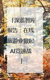 深蓝智库报告：在线旅游业掀起AI竞速战