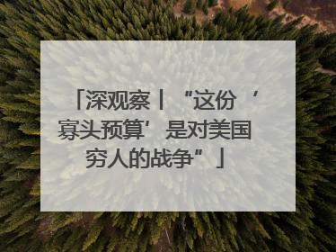 深观察丨“这份‘寡头预算’是对美国穷人的战争”