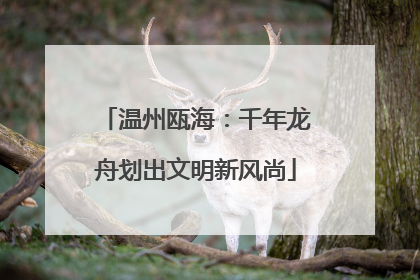 温州瓯海：千年龙舟划出文明新风尚