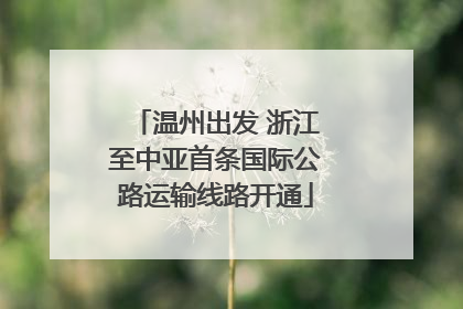 温州出发 浙江至中亚首条国际公路运输线路开通
