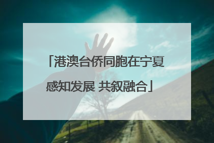 港澳台侨同胞在宁夏感知发展 共叙融合