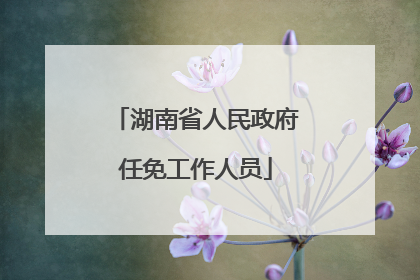 湖南省人民政府任免工作人员