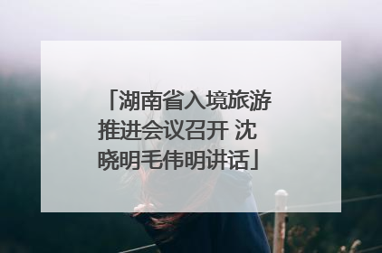 湖南省入境旅游推进会议召开 沈晓明毛伟明讲话