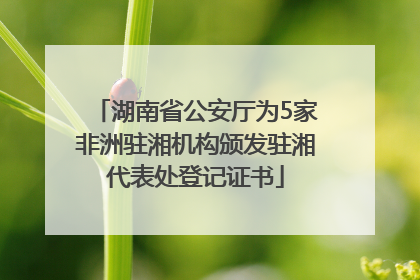湖南省公安厅为5家非洲驻湘机构颁发驻湘代表处登记证书