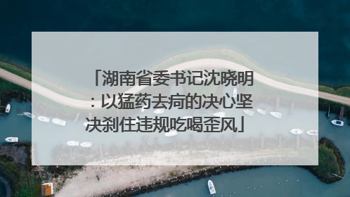 湖南省委书记沈晓明：以猛药去疴的决心坚决刹住违规吃喝歪风