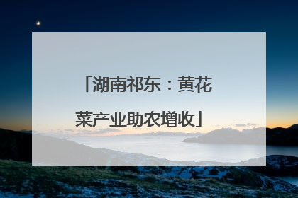 湖南祁东：黄花菜产业助农增收
