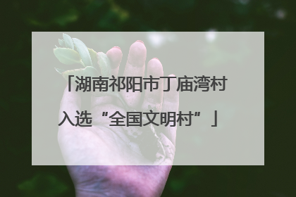 湖南祁阳市丁庙湾村入选“全国文明村”
