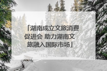 湖南成立文旅消费促进会 助力湖南文旅融入国际市场