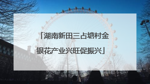 湖南新田三占塘村金银花产业兴旺促振兴
