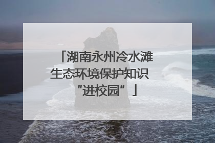 湖南永州冷水滩生态环境保护知识“进校园”